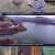 김영철의 동네 한 바퀴.E171.220423.720p-NEXT