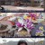 한국인의 밥상.E559.220428.720p-NEXT