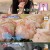 건강한 가출 동거인.E17.220501.720p-NEXT