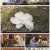 인간극장.E5315.220504.1080p.H264-F1RST