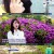 눈에 띄는 그녀들.E29.220512.720p-NEXT