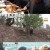 휴먼다큐 사노라면.E532.220513.720p-NEXT.mp4