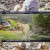 동물극장 단짝.E16.220514.720p-NEXT