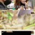 식객 허영만의 백반기행.E153.220520.720p-NEXT