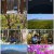 영상앨범 산.E833.220522.1080p.H264-F1RST