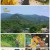 2TV 생생정보.E1560.220527.720p.H264-F1RST