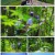 영상앨범 산.E834.220529.1080p.H264-F1RST