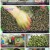6시 내고향.E7543.220531.720p.H264-F1RST