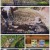 김영철의 동네 한 바퀴.E173.220604.1080p.H264-F1RST