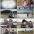 일요 특선 다큐멘터리.E281.220605.1080p.H264-F1RST