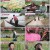 엄마의 봄날.E351.220605.1080p.H264-F1RST