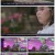 국악한마당.E1412.220709.1080p.H264-F1RST