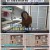 무엇이든 물어보세요.E4037.220713.1080p.H264-F1RST