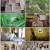 돌체 이탈리아-토스카나 민박 기행_ 세계테마기행_ 220713