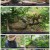 자연의 철학자들.E17.220715.1080p.H264-F1RST