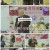 스타다큐 마이웨이.E305.220717.720p.H264-F1RST