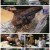 식객 허영만의 백반기행.E162.220729.1080p.H264-F1RST