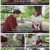 팔도밥상.E271.220730.1080p.H264-F1RST