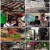 태국 삼시 세끼-방콕, 골목골목 맛 유랑_ 세계테마기행_ 220801