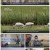 다큐 On.E151.220805.1080p.H264-F1RST