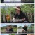 팔도밥상.E272.220806.1080p.H264-F1RST