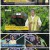 우리말 겨루기.E922.220808.1080p.H264-F1RST