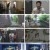 그것이 알고 싶다.E1319.220813.1080p.H264-F1RST