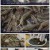 팔도밥상.E273.220814.1080p.H264-F1RST