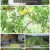 생활의 달인.E856.220815.1080p.H264-F1RST