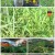 나는 자연인이다.E515.220817.1080p.H264-F1RST