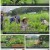 자연의 철학자들.E22.220819.720p.H264-F1RST