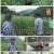 휴먼다큐 사노라면.E546.220819.720p.H264-F1RST