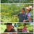 2TV 생생정보.E1620.220822.720p.H264-F1RST