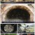 팔도밥상.E275.220827.1080p.H264-F1RST