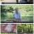 자연의 철학자들.E24.220902.720p.H264-F1RST