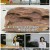 천기누설.E532.220902.1080p.H264-F1RST
