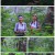 영상앨범 산.E848.220904.1080p.H264-F1RST