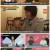 한번더체크타임.E103.220905.720p.H264-F1RST