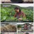 6시 내고향.E7618.220915.720p.H264-F1RST