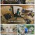 동물극장 단짝.E31.220917.720p.H264-F1RST