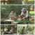 나는 자연인이다.E520.220921.720p.H264-F1RST