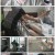 세상에서 가장 아름다운 여행.E1048.220925.1080p.H264-F1RST