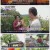 6시 내고향.E7627.220928.720p.H264-F1RST