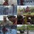 몽골 말 조련사가 사는 법 1080p