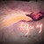 다큐 스페셜 천국의 새 - 1부 다리 없는 새