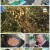 2TV 생생정보.E1652.221005.720p.H264-F1RST