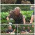 나는 자연인이다.E522.221005.1080p.H264-F1RST