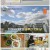 알약방.E119.221006.720p.H264-F1RST