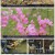 자연의 철학자들.E28.221007.720p.H264-F1RST