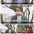 이웃집 찰스.E358.221011.1080p.H264-F1RST